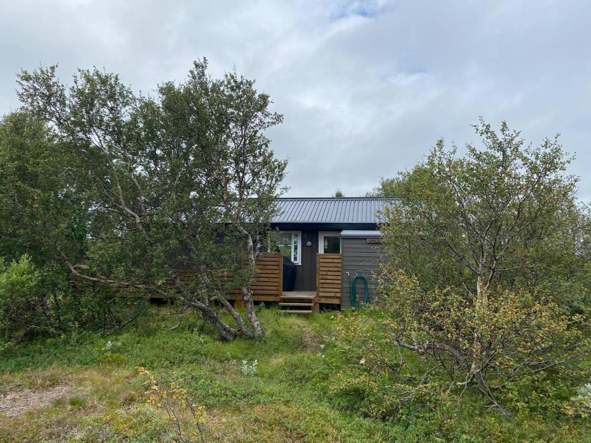 Cabin In The Lava. Near Husavik Skogar  Экстерьер фото